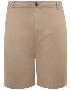 D555 Spencer 2 Full Elastic Waist Stretch Shorts Stone